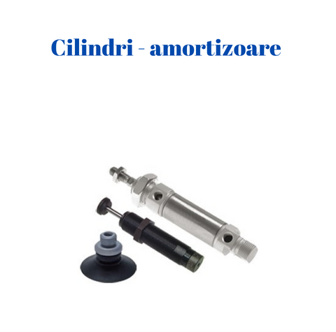 Cilindri-Amortizoare